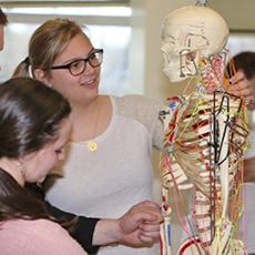 Daemen Physical Therapy students